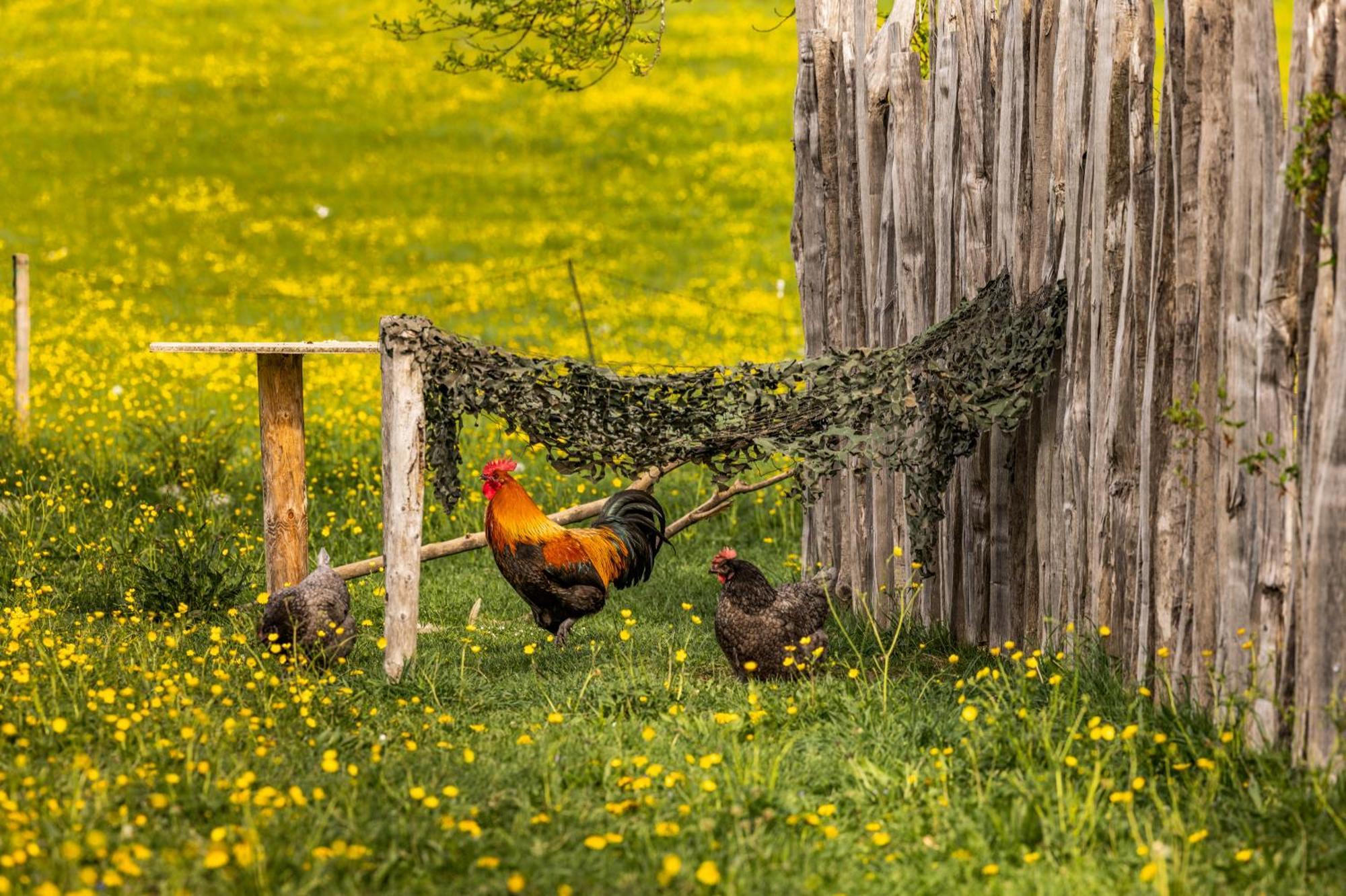 Ferienwohnungen Am Gablerhof Бад-Райхенхалль Экстерьер фото