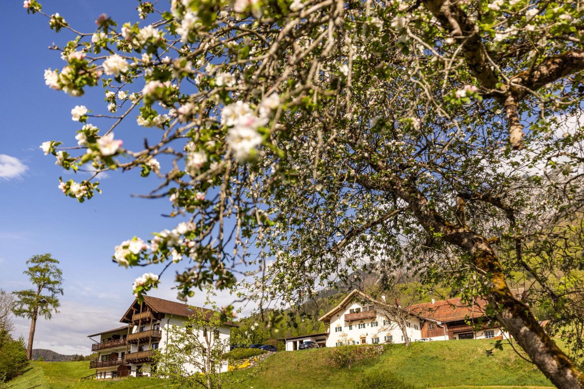 Ferienwohnungen Am Gablerhof Бад-Райхенхалль Экстерьер фото